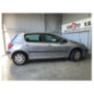 Mastervac PEUGEOT 307