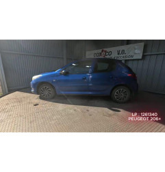Mastervac PEUGEOT 206+ Photo n°9