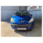 Mastervac PEUGEOT 206+