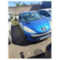Mastervac PEUGEOT 206+
