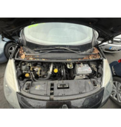 Panneau de porte arriere droit RENAULT SCENIC 3 Photo n°6