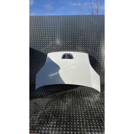 Capot PEUGEOT BIPPER Photo n°1