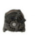 Alternateur FIAT SCUDO 2