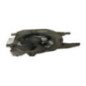Ventilateur eau RENAULT TRAFIC 2