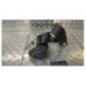 Ceinture arriere droit PEUGEOT 207