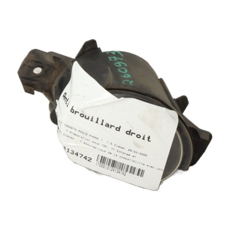 Anti brouillard droit (feux) RENAULT MODUS Photo n°1