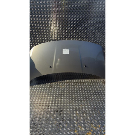 Capot PEUGEOT 3008 1 Photo n°1