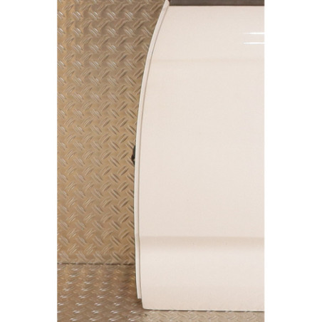 Porte arriere gauche CITROEN C3 2