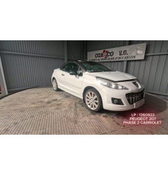 Mastervac PEUGEOT 207