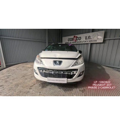 Mastervac PEUGEOT 207 Photo n°10