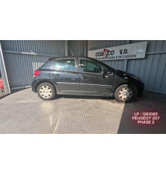 Mastervac PEUGEOT 207