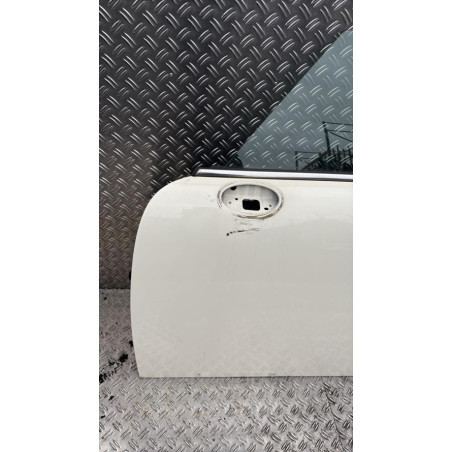 Porte avant gauche MINI MINI 2 R56