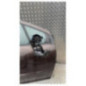 Porte avant droit PEUGEOT 308 1
