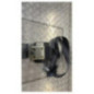 Ceinture avant droit PEUGEOT 406