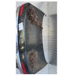 Malle/Hayon arriere JAGUAR XF 1 Photo n°4