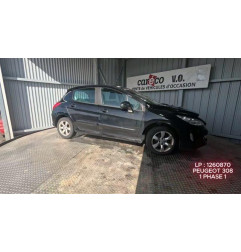 Mastervac PEUGEOT 308 1