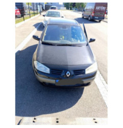 Malle/Hayon arriere RENAULT MEGANE 2 Photo n°6