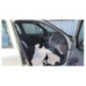 Calandre RENAULT CLIO 2
