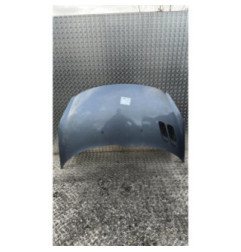 Capot PEUGEOT 206+ Photo n°1