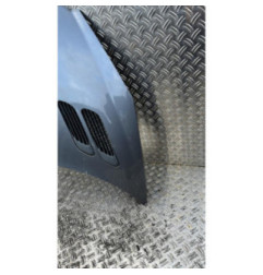 Capot PEUGEOT 206+ Photo n°3