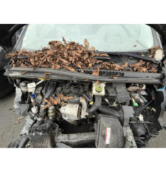 Ceinture arriere gauche PEUGEOT 5008 1 Photo n°12