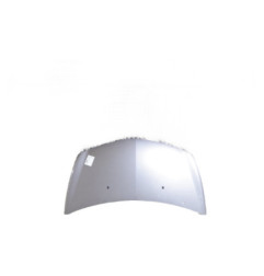 Capot RENAULT CLIO 3 Photo n°1