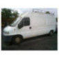 Alternateur FIAT DUCATO 2