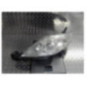 Optique avant principal gauche (feux)(phare) MAZDA 5 1