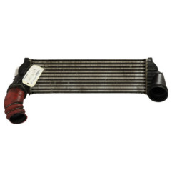 Echangeur air (Intercooler) BMW X5 E70 Photo n°3