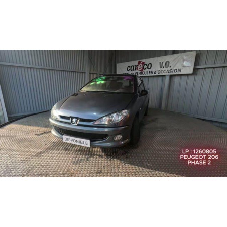 Calandre PEUGEOT 206