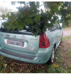 Ceinture avant gauche PEUGEOT 307 Photo n°9