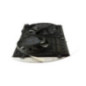 Ventilateur eau VOLKSWAGEN EOS