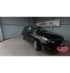 Mastervac PEUGEOT 308 2 Photo n°1