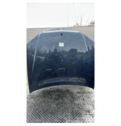 Capot MERCEDES CLASSE S 220 Photo n°1