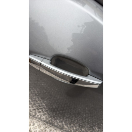 Porte arriere gauche OPEL MERIVA B