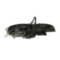 Ventilateur eau SEAT EXEO