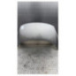 Capot RENAULT SCENIC 3