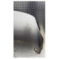 Capot RENAULT SCENIC 3