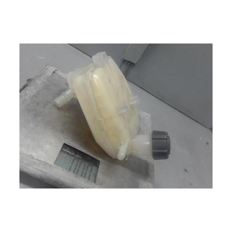 Vase d'expansion RENAULT TWINGO 2