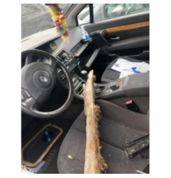 Feu arriere principal droit (feux) RENAULT VEL SATIS Photo n°9