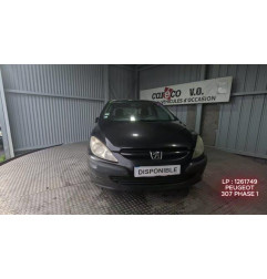 Mastervac PEUGEOT 307 Photo n°1