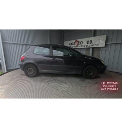 Mastervac PEUGEOT 307
