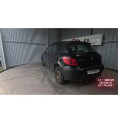Mastervac PEUGEOT 307 Photo n°5