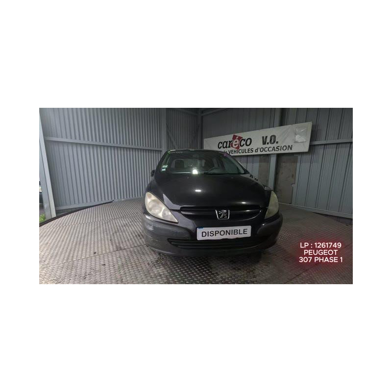 Pompe immergee PEUGEOT 307