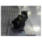 Compresseur clim FORD FOCUS 2