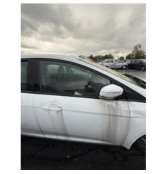 Porte avant gauche FORD FOCUS 3 Photo n°13