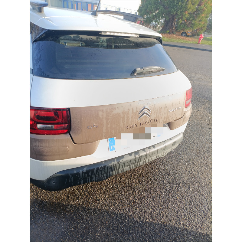 Moteur CITROEN C4 CACTUS