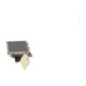 Ecran GPS DS DS5