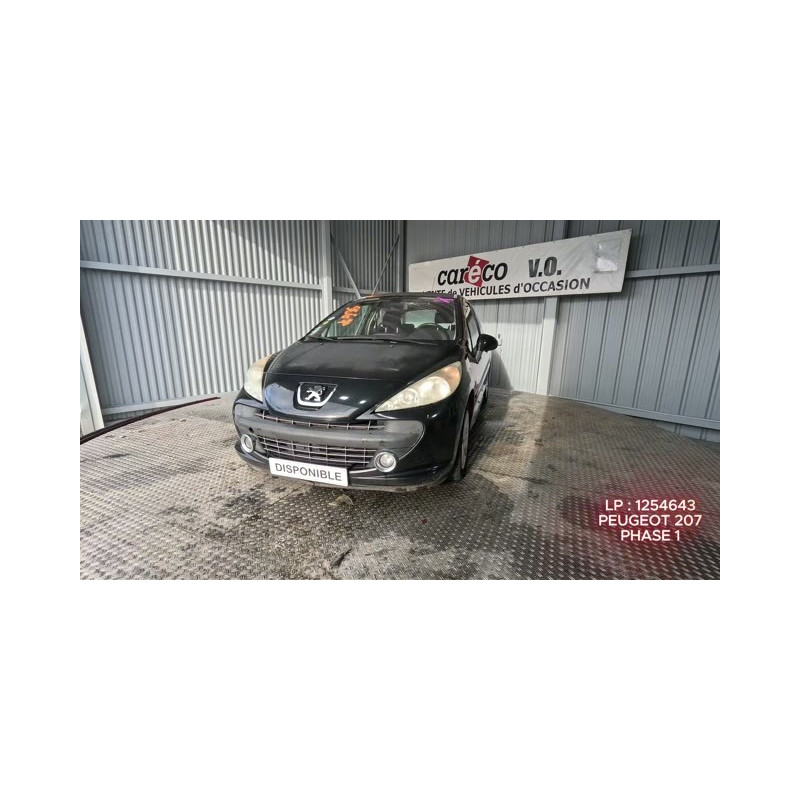 Capot PEUGEOT 207
