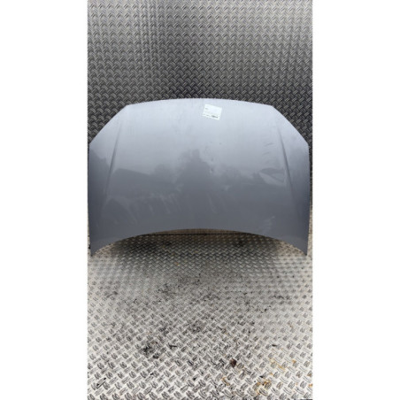 Capot VOLKSWAGEN POLO 4 Photo n°1